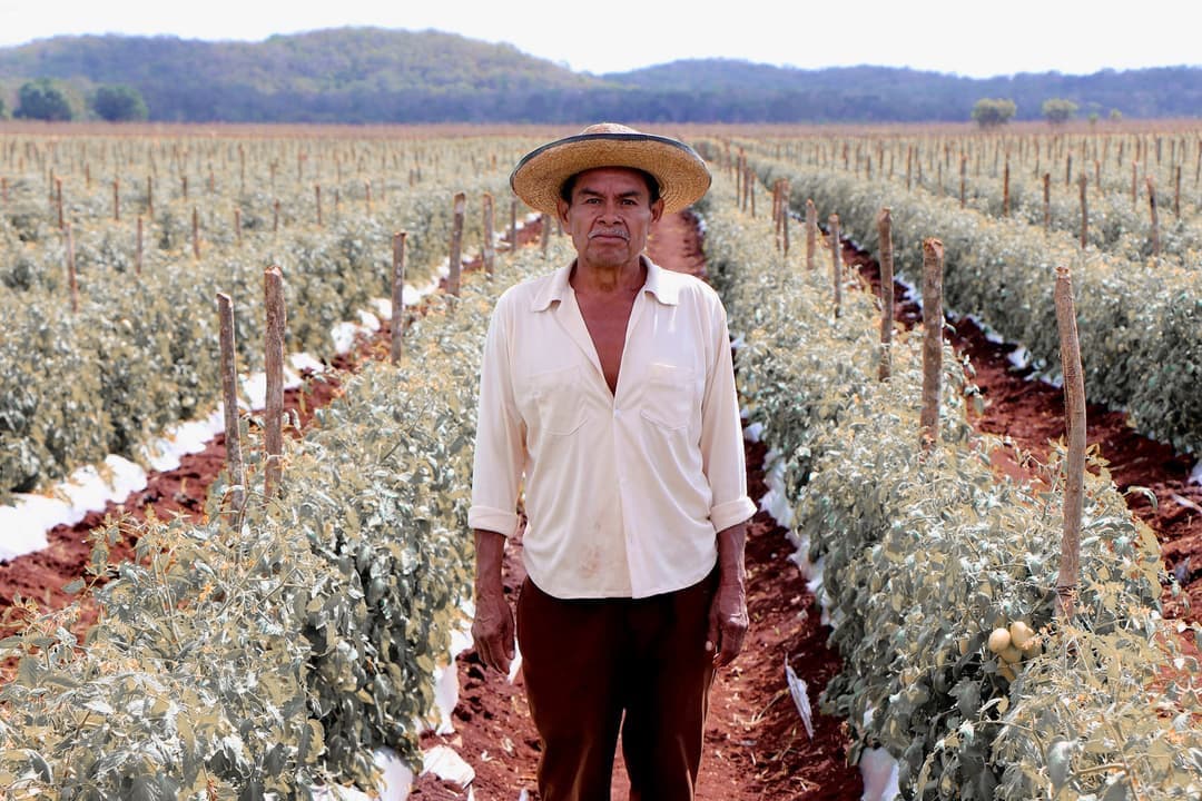 Prevén graves daños a producción por estiaje en Tabasco