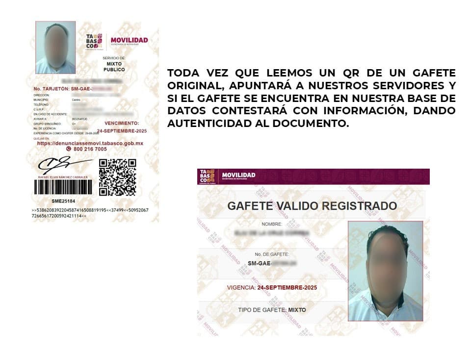 Interpondrá Semovi demanda penal por red de tráfico de gafetes clonados 