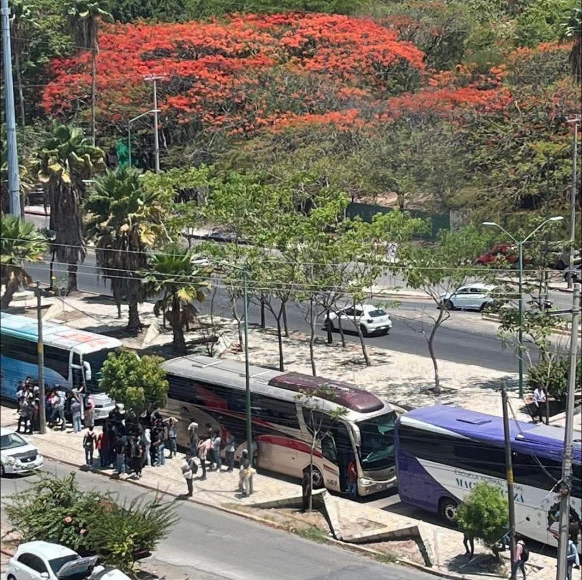 Reprueba Canaco Chiapas protestas violentas