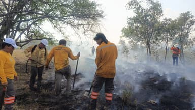 ImagenDisminuye Chiapas 87 por ciento afectaciones por incendios 