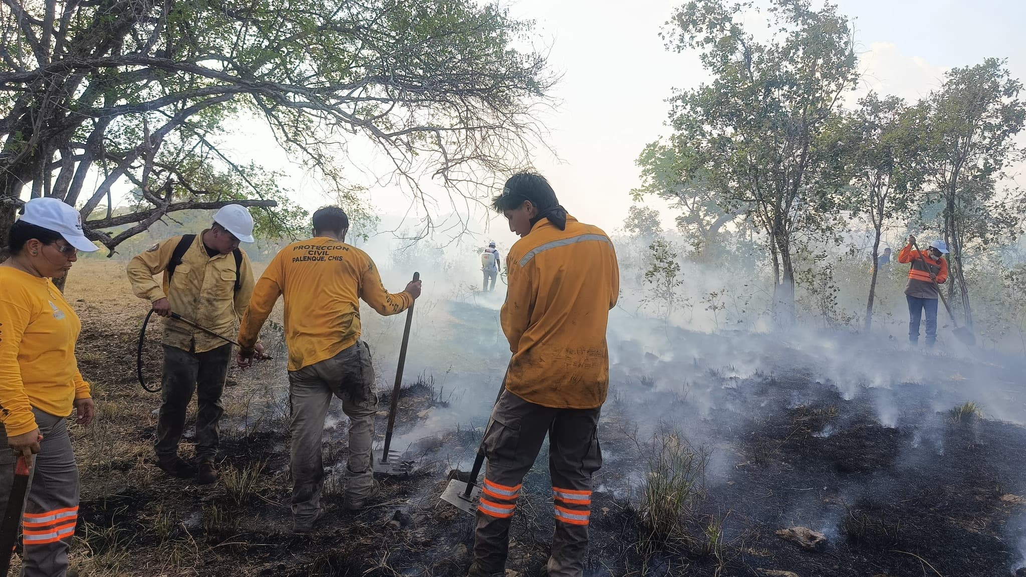 Disminuye Chiapas 87 por ciento afectaciones por incendios 
