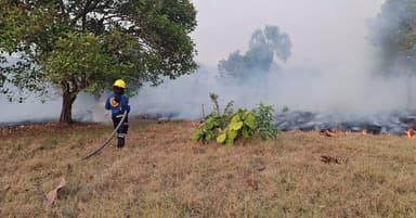 ImagenDevasta incendio 2.5 km de pastizales en corredor chontal 