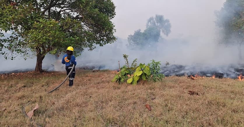 Devasta incendio 2.5 km de pastizales en corredor chontal 