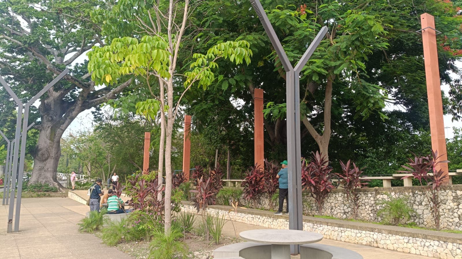 Muere hombre tras colgarse de árbol en malecón de Gaviotas 