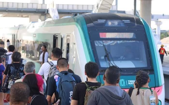 Tren Maya se detiene por falla mecánica cerca de Cancún