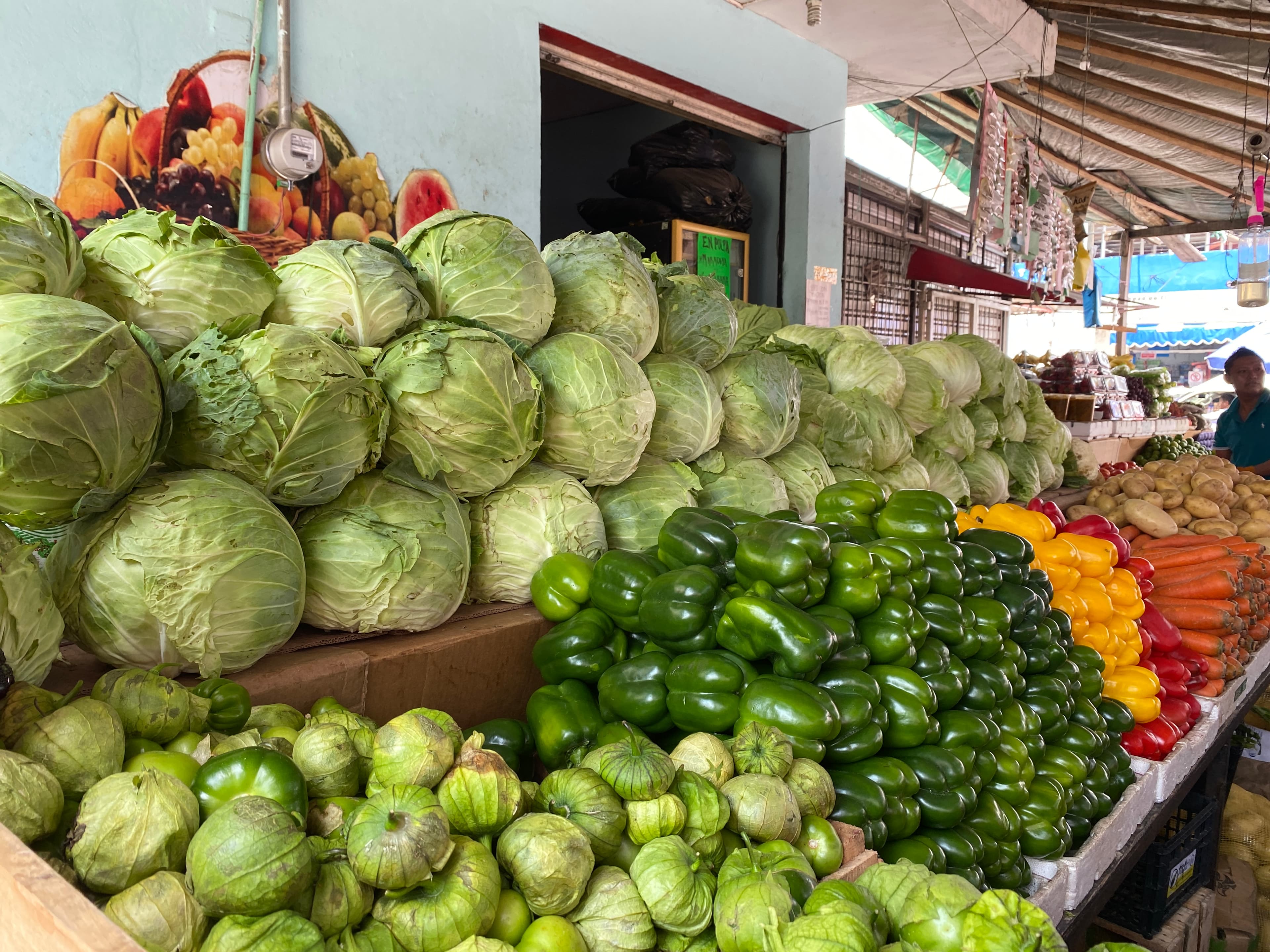 Inusual encarecimiento de verduras en Tabasco 