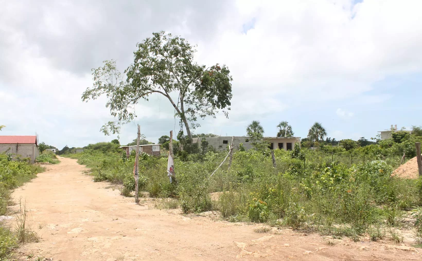 Busca Ayuntamiento recuperar predio en Playa del Carmen 