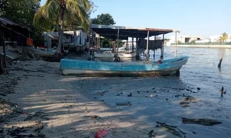 Pescadores piden desazolve en Ciudad del Carmen