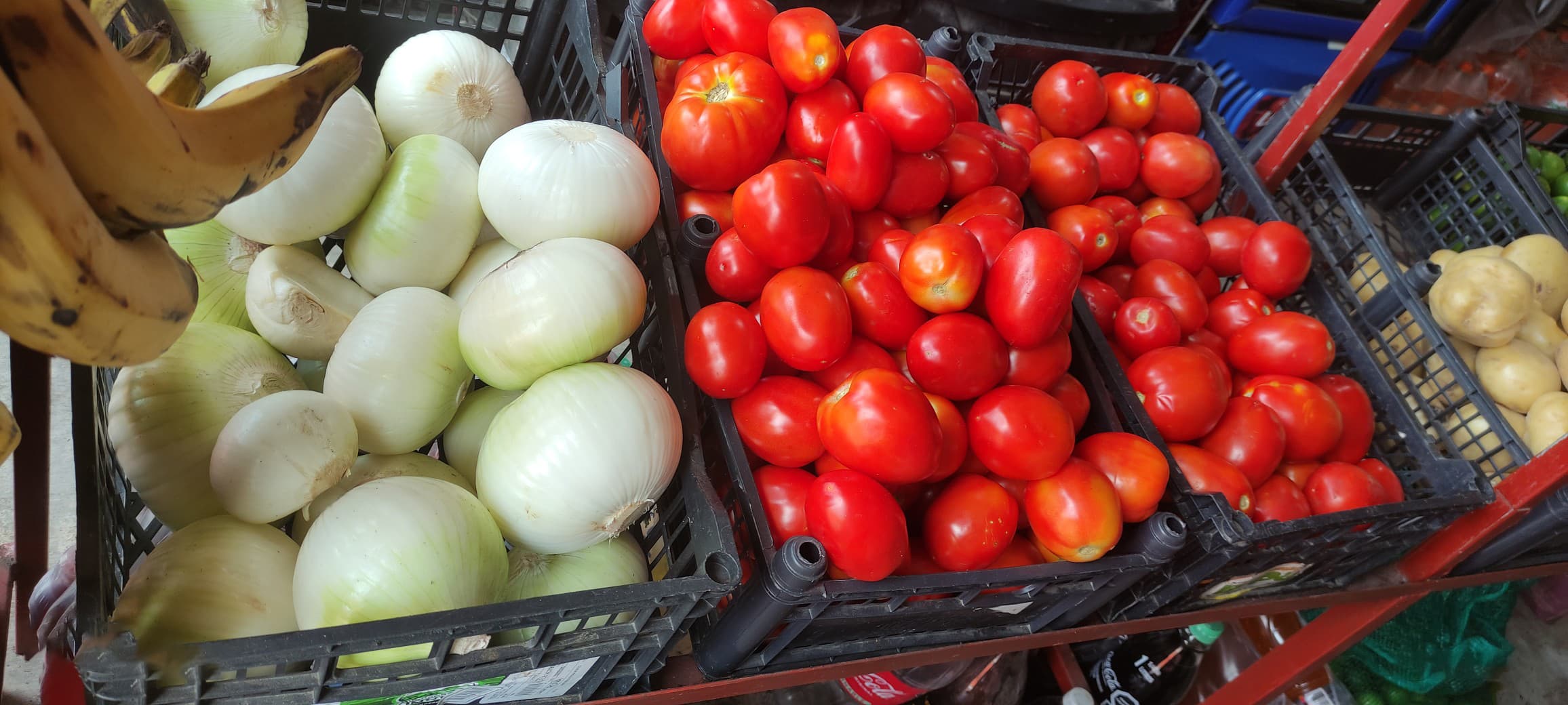 Baja de hasta 50% en precios de aguacate, limón y cebolla