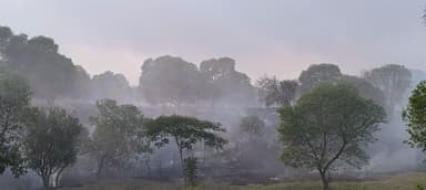 ImagenEjidatarios yokotanes claman ayuda, tras incendio