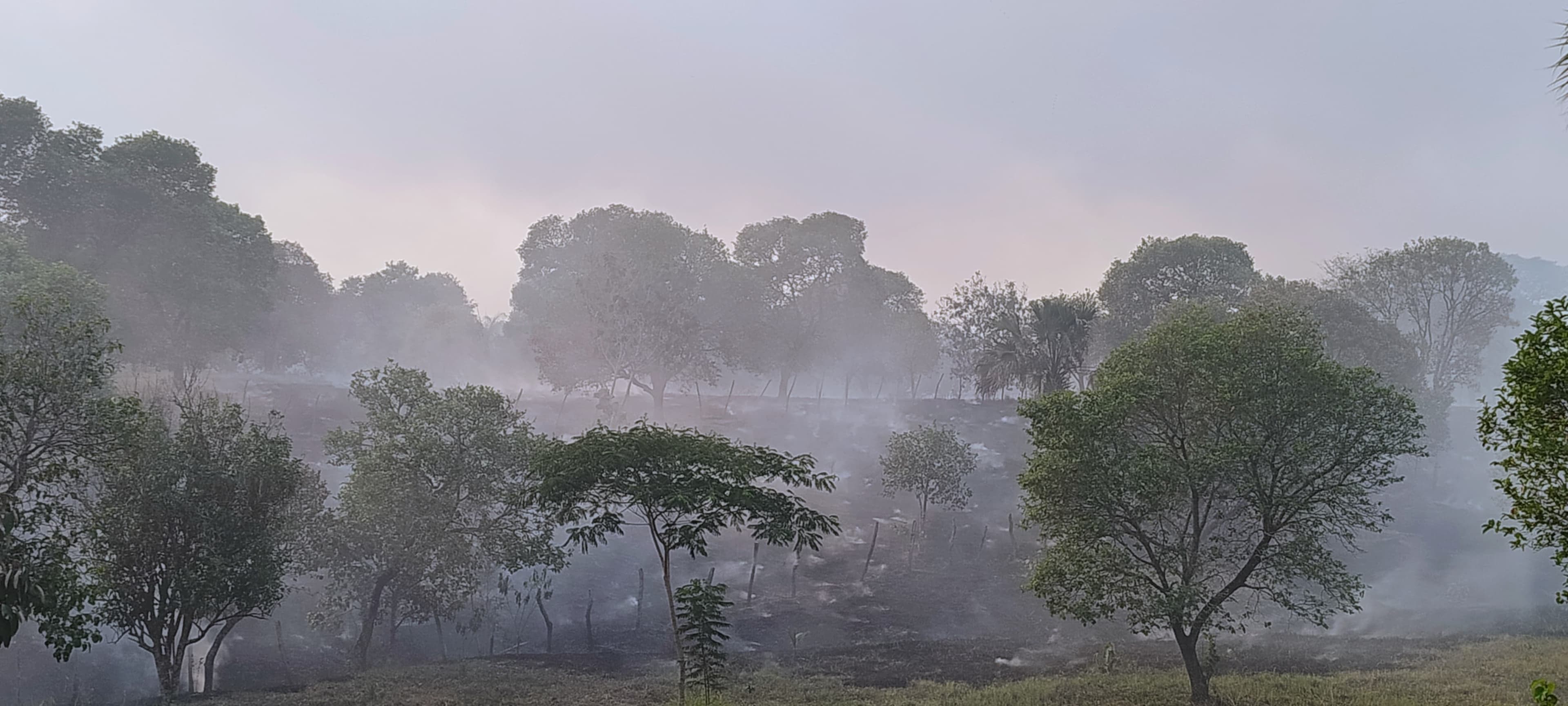 Ejidatarios yokotanes claman ayuda, tras incendio