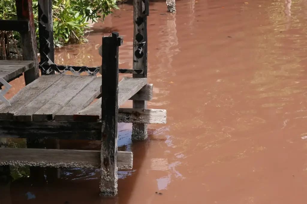 Gobierno con obligación de investigar que pasa en Río de Paraíso