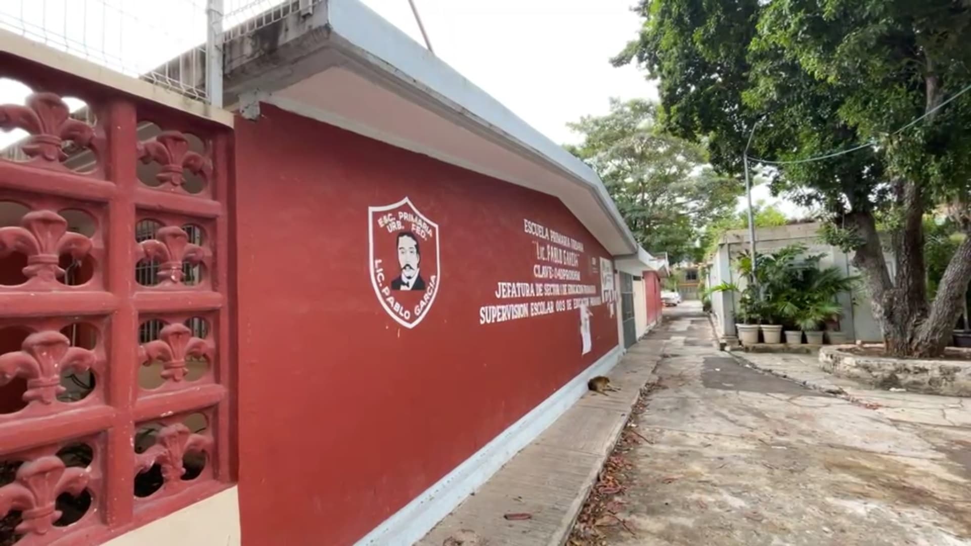 Denuncian agresiones de alumna en primaria de Campeche