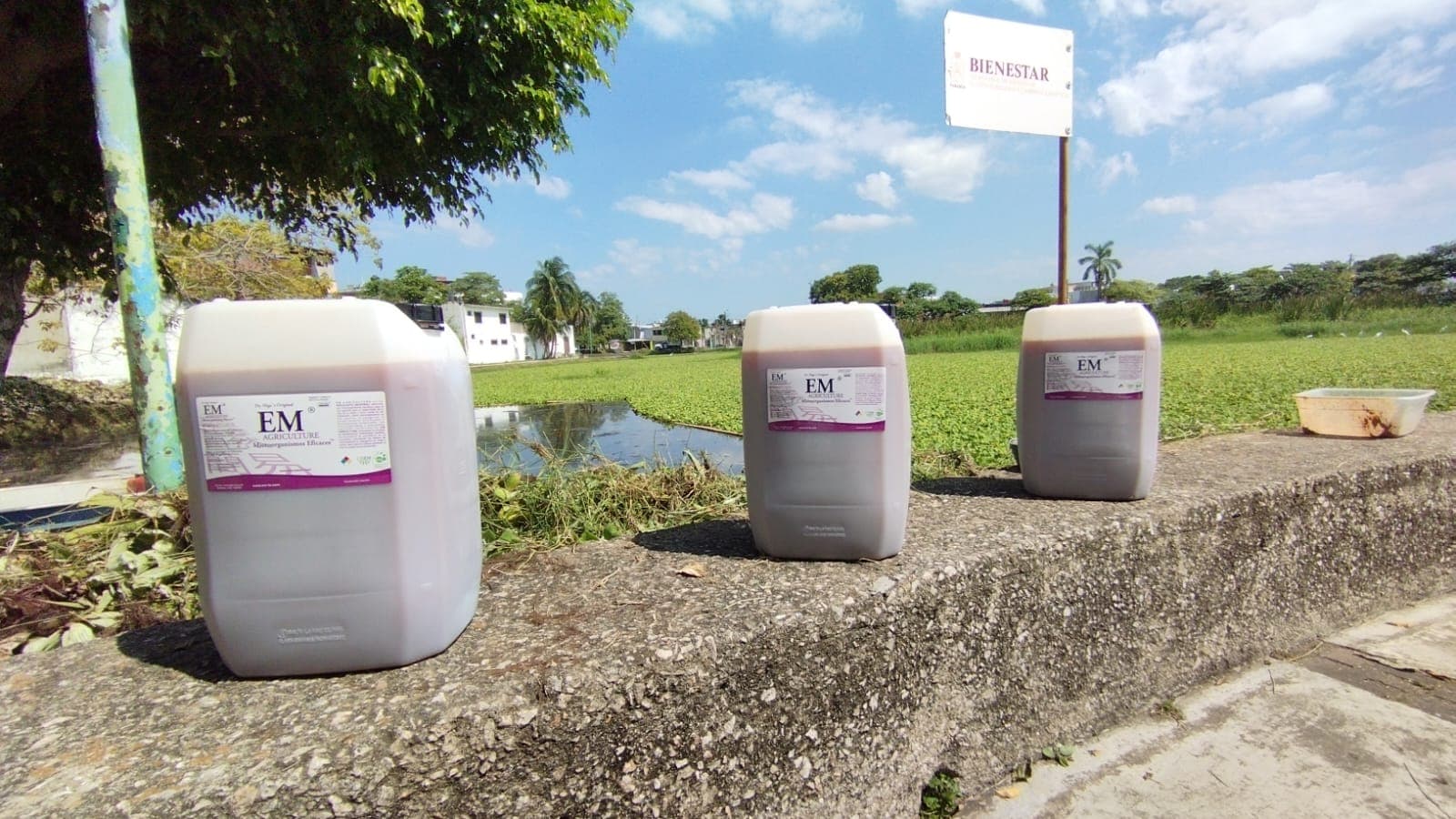 Usan tecnología japonesa para limpiar Laguna El Jícaro