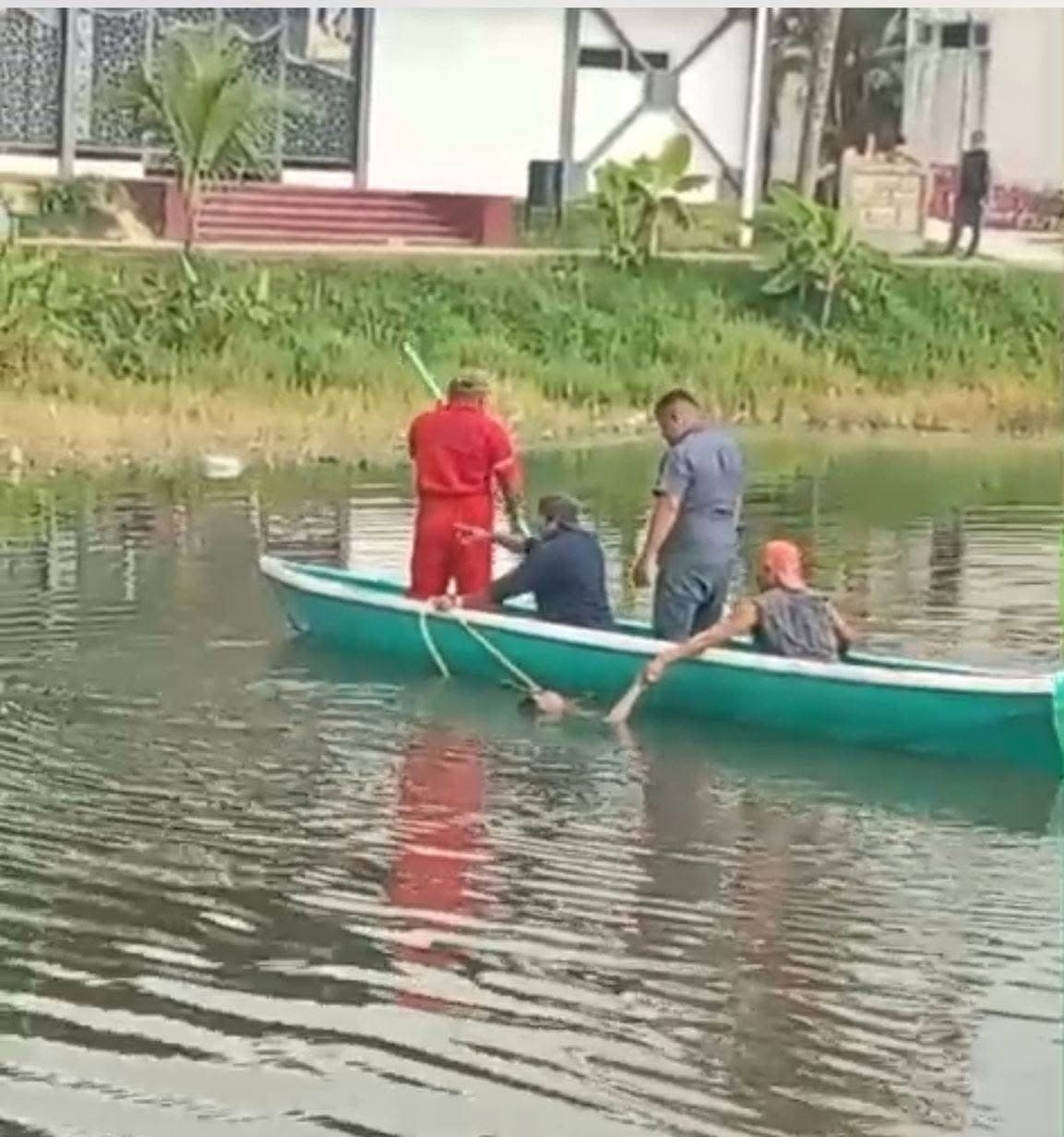 ¡Se metió a bañar y se lo comieron los lagartos!