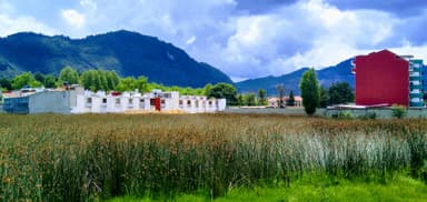 ImagenAhoga a familias codicia inmobiliaria