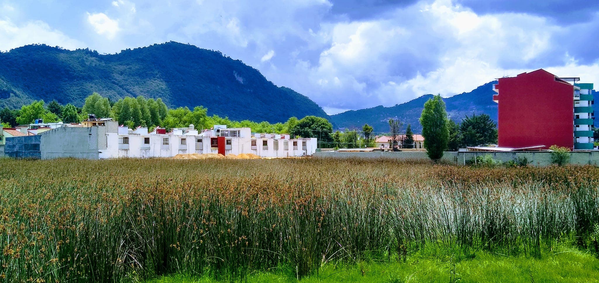 Ahoga a familias codicia inmobiliaria