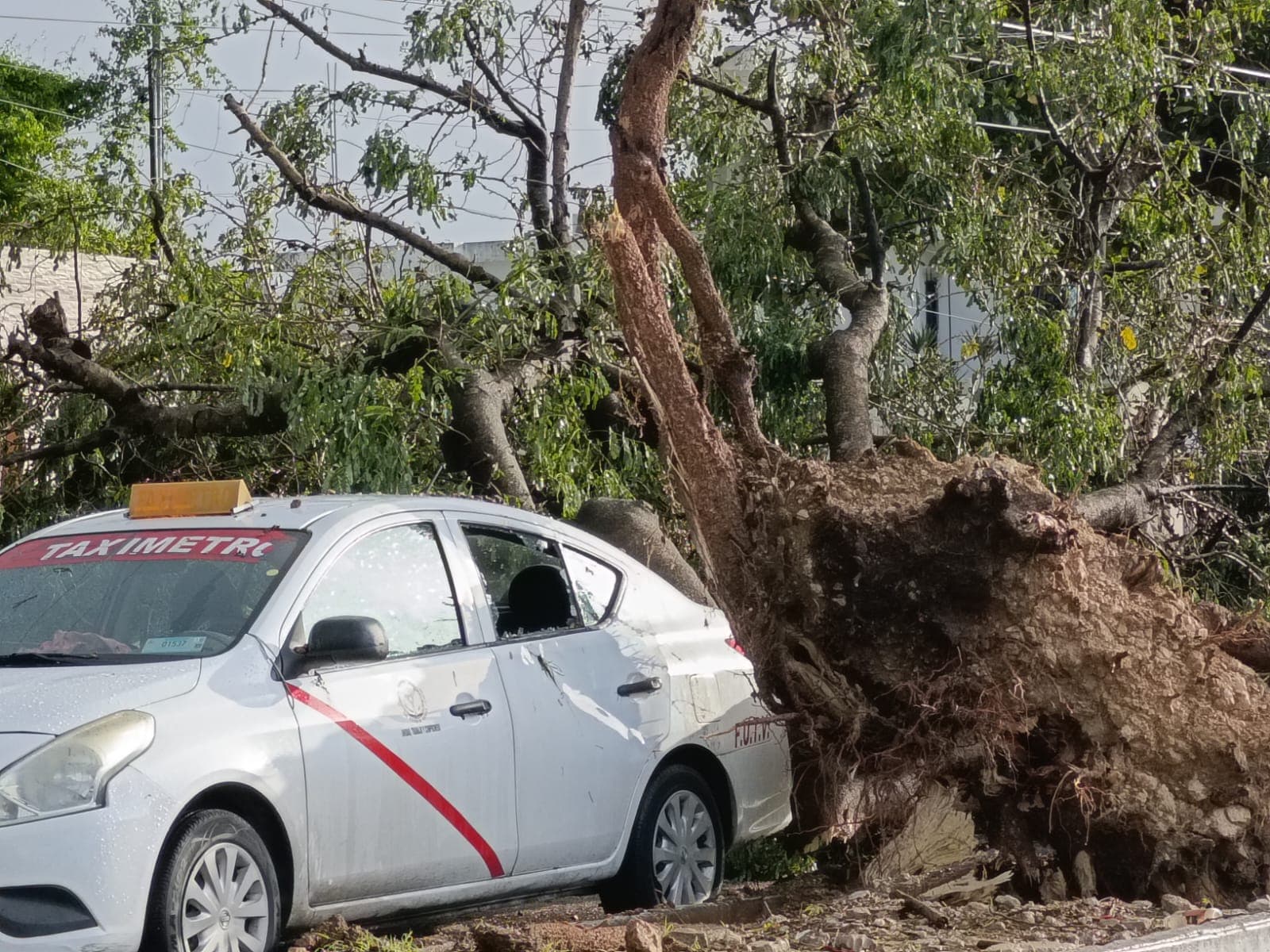 Yucatán en alerta por Beryl