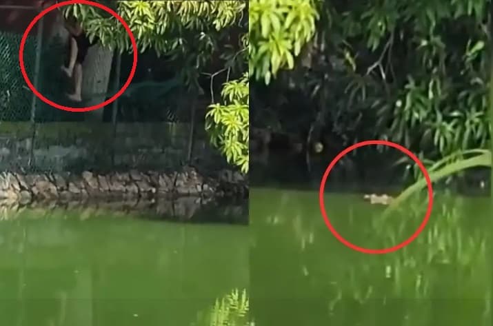 Se metió a bañar a la laguna y casi se lo come un cocodrilo