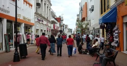 Inseguridad: percepción y estadística 