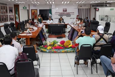 ImagenGenera inconformidad en partidos políticos el recorte al IEPCT