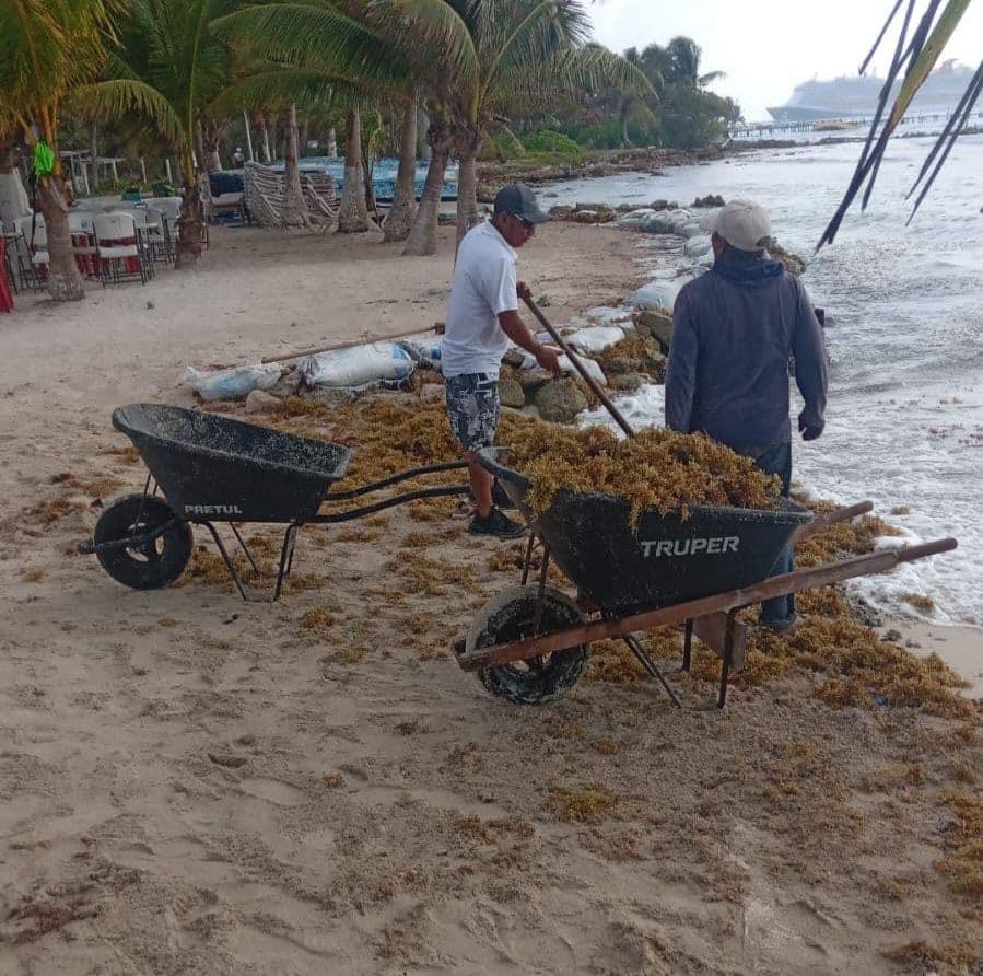 Reactivan empleo temporal en Mahahual 