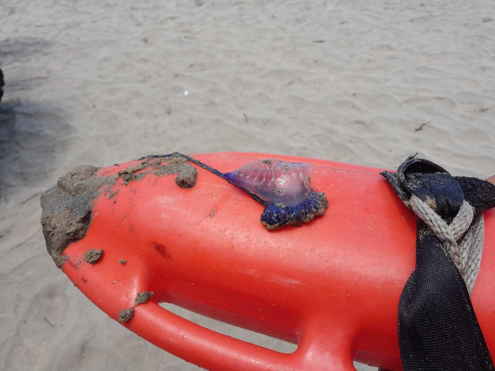 Más de 11 mil visitan playa tabasqueñas 