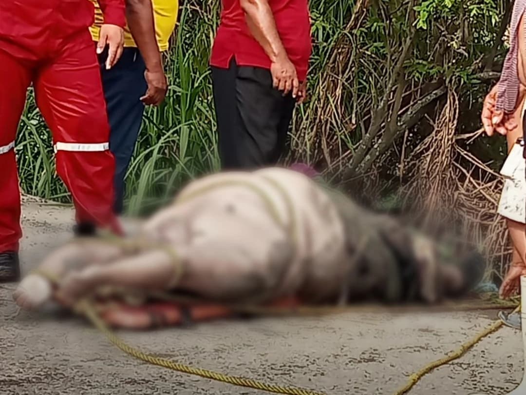 Muere automovilista ahogado tras salirse de carretera dañada