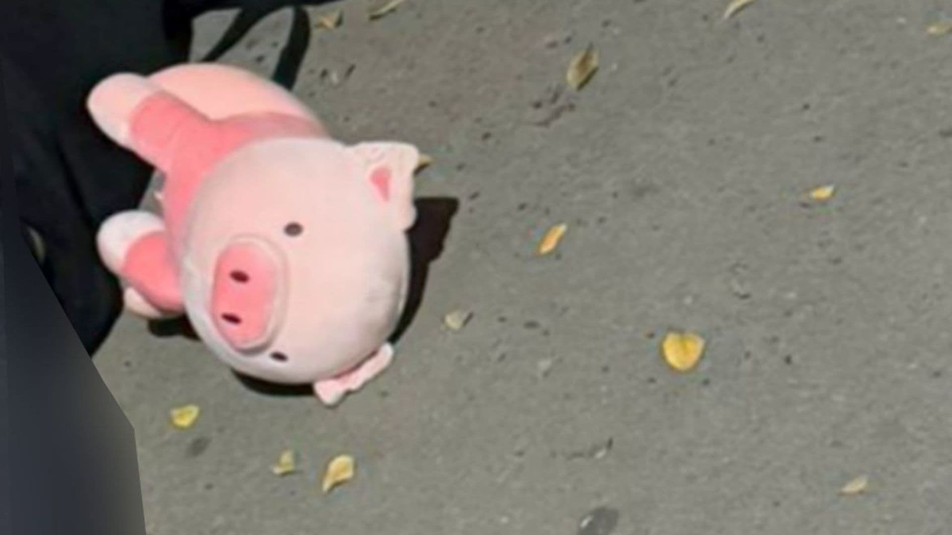 El sello del "cerdito": terror y mensajes en los asesinatos de Culiacán