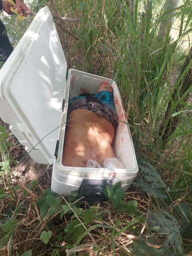 ImagenMacabro hallazgo congela paz duradera