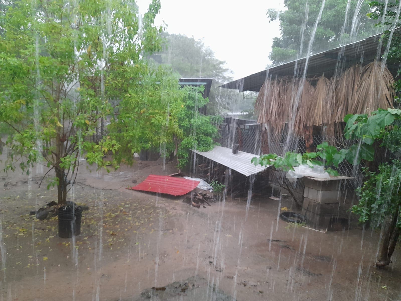 Alertan sobre desafíos climáticos y geológicos a Chiapas en 2039