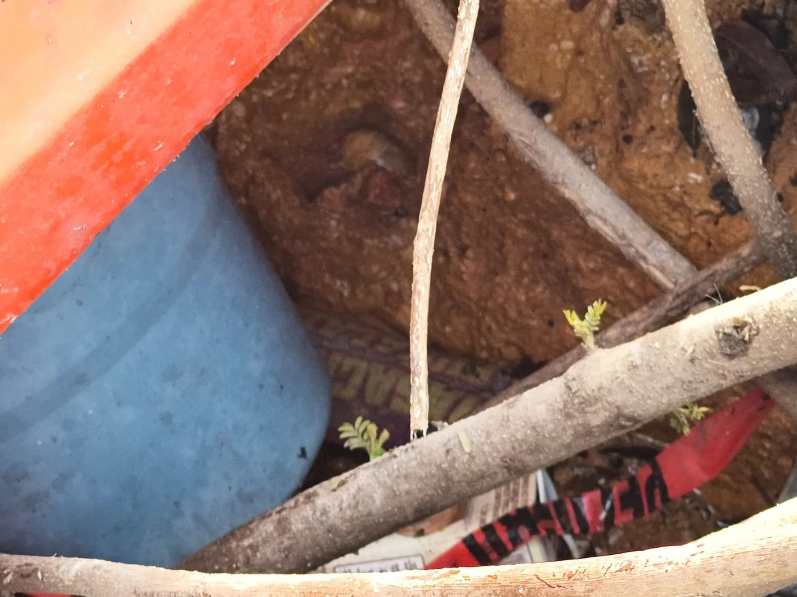 Por socavón en riesgo de accidentes feligreses de viacrucis de Tamulté 