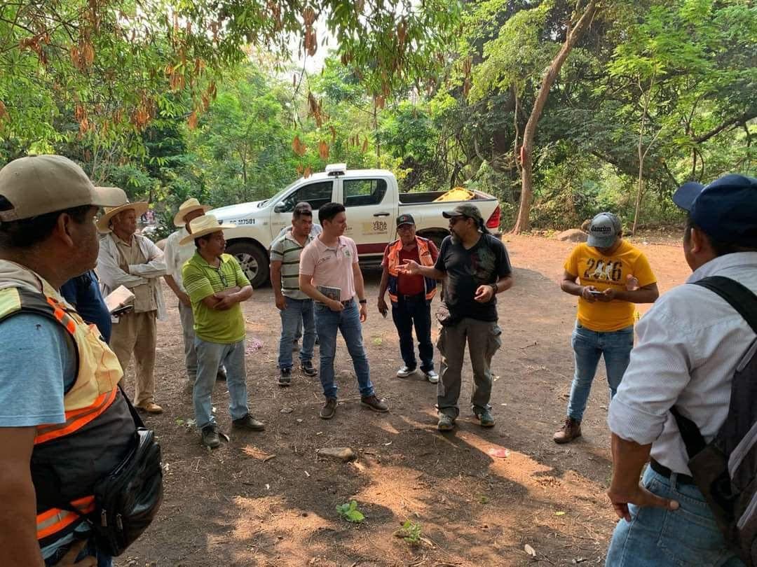 Atienden a monos aulladores afectados por ola de calor 