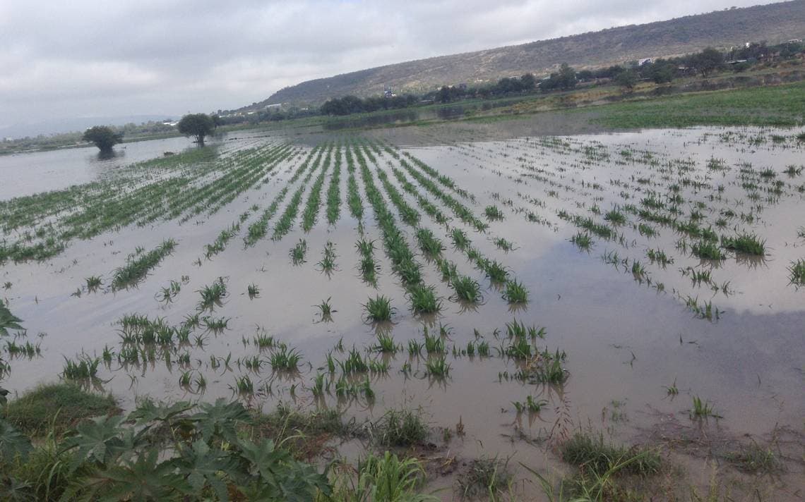 Niega apoyo Gobierno de Campeche a localidades inundadas 