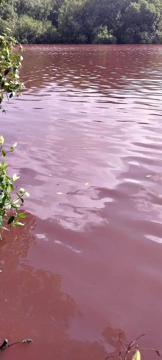 Aguas de río próximo a refinería Dos Bocas se tornan color vinotinto 