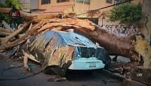 ImagenDos fallecidos y más de mil réplicas deja sismo de este 2 de enero 