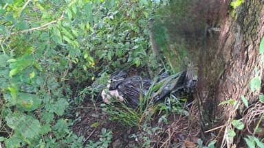 Imagen¡Segundo feminicidio en dos días de 2026!