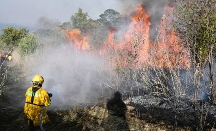 ¡Peligro extremo de incendios forestales en Tabasco!