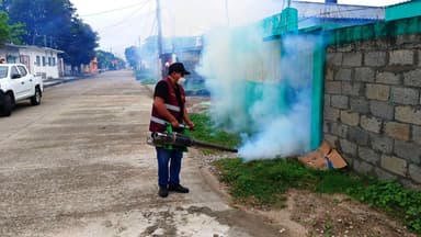 ImagenTabasco es líder nacional en incidencia de dengue 