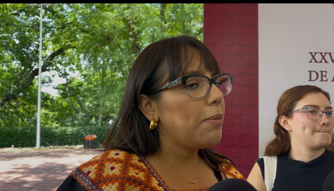 Tomará año y medio sanear 'El Camarón': Semades