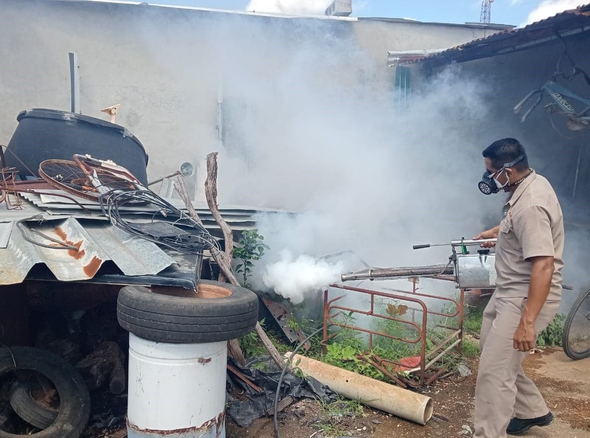 A la baja dengue en Campeche