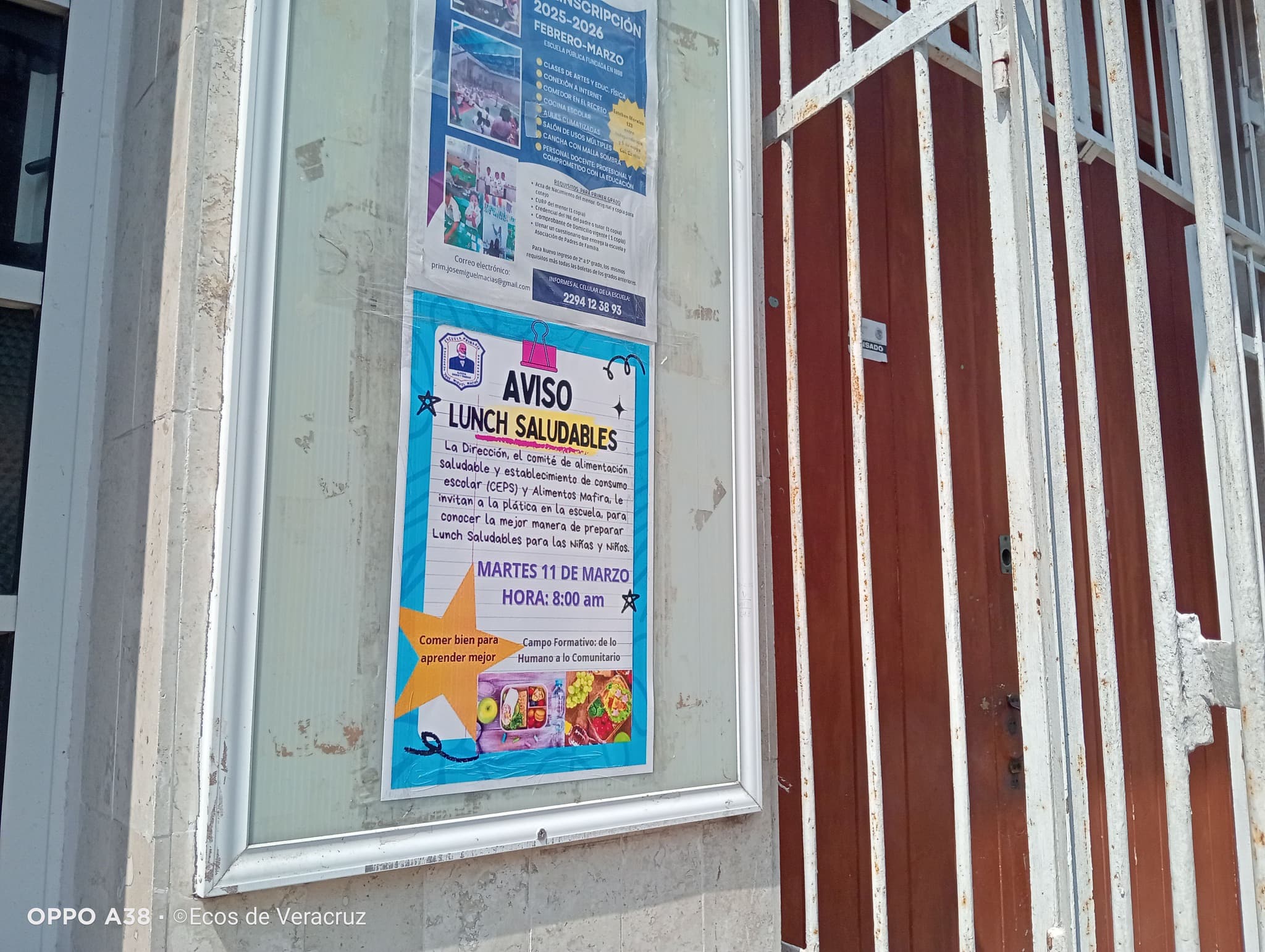 Ordena en Veracruz retirar comida chatarra de escuelas