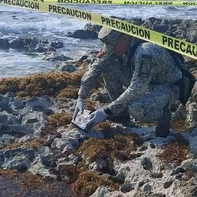 ImagenGuardia Nacional asegura ladrillo de "coca" en Cozumel