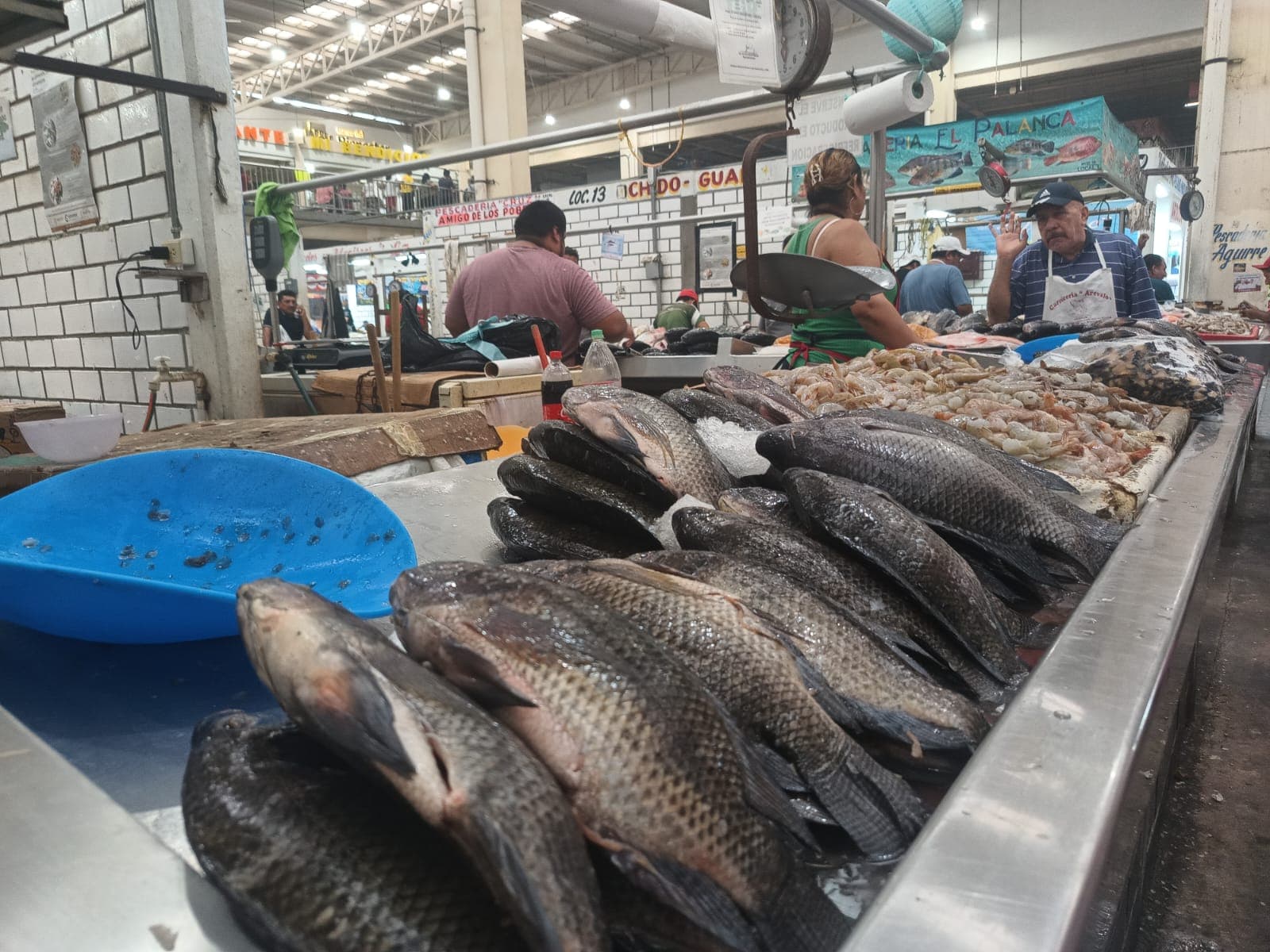 Pescaderías bajan precios ¡ansían milagro de Cuaresma! 