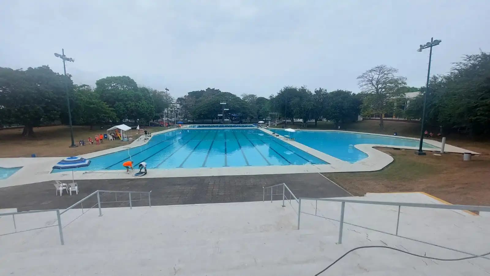 Abren la alberca Olímpica al público 