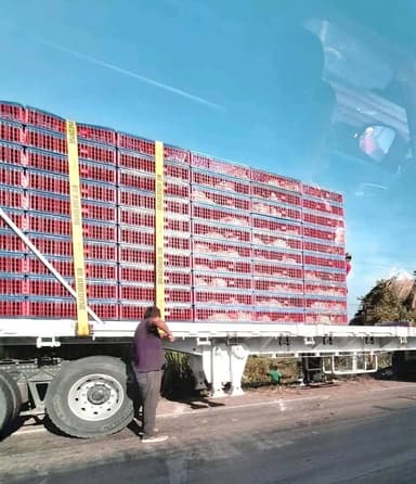 ImagenChontales roban gallinas y luego las venden