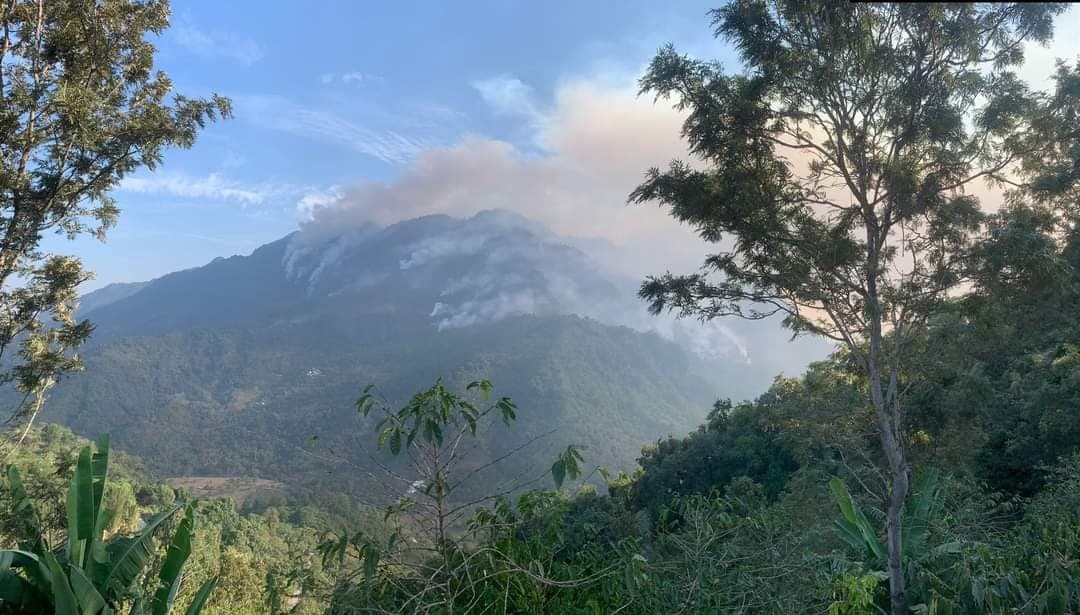 Continúan incendios forestales en Veracruz