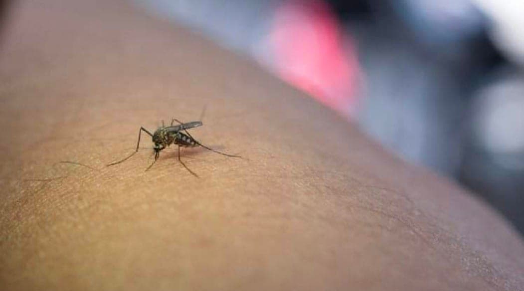 Población chiapaneca se opone al combate del dengue 