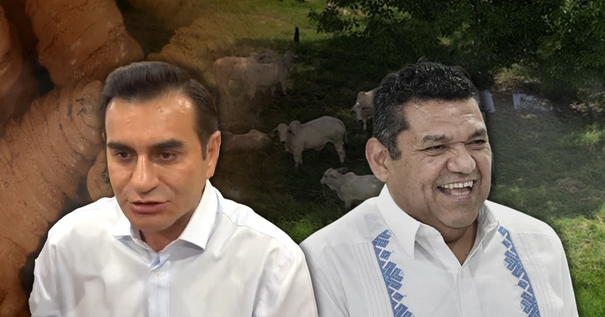 'Sabía May de la plaga y no actuaron'