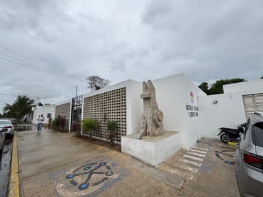 ImagenAlertan por envenenamiento de gatos en Cancún